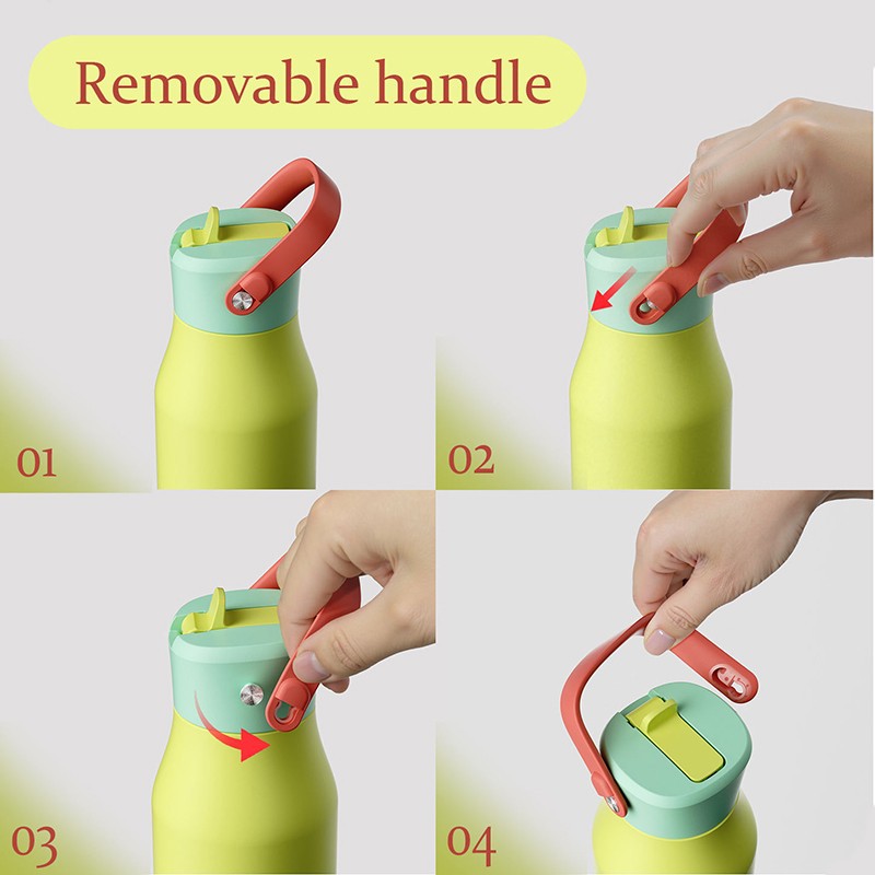 Removable handle