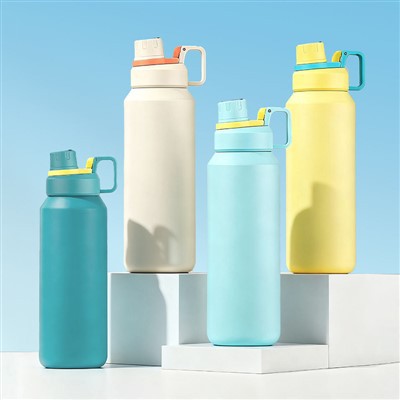 Wellness Double Wall Stainless Steel Bottle