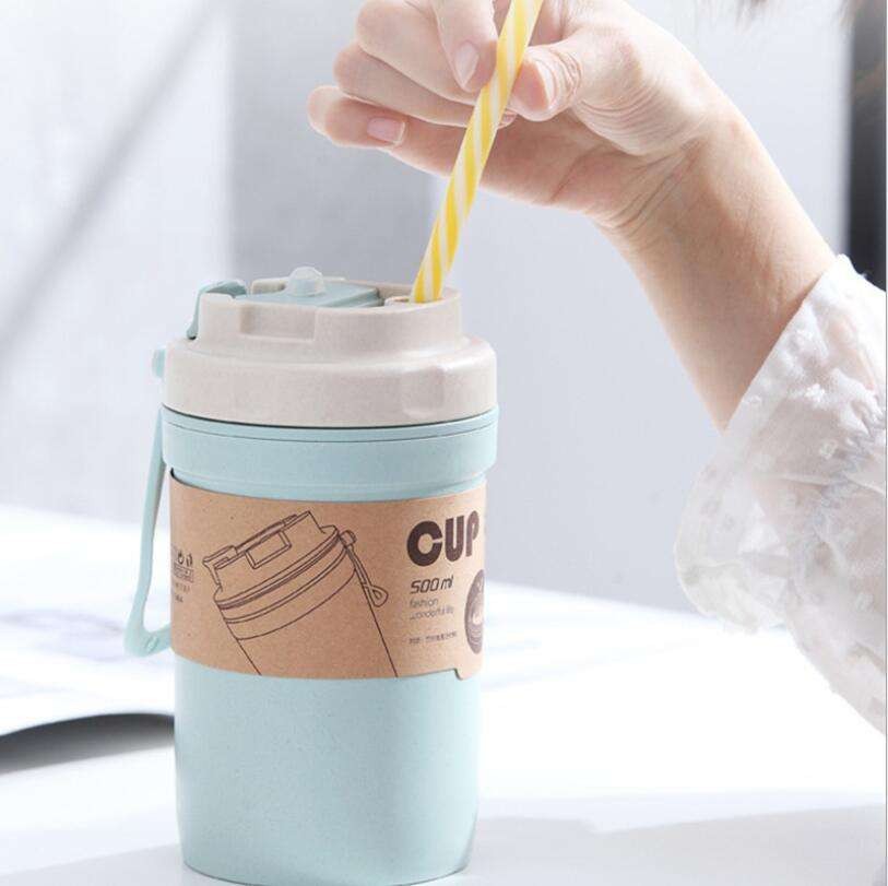 Students Bamboo Fiber Cup suppliers