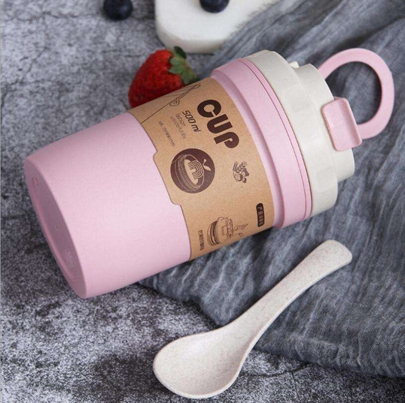 Students Bamboo Fiber Cup best